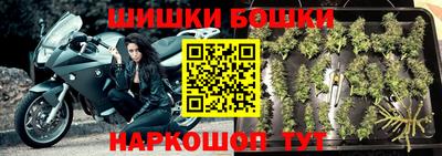 гашик Гусь-Хрустальный