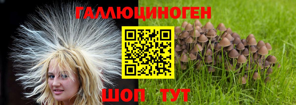 Галлюциногенные грибы ЛСД Ишим