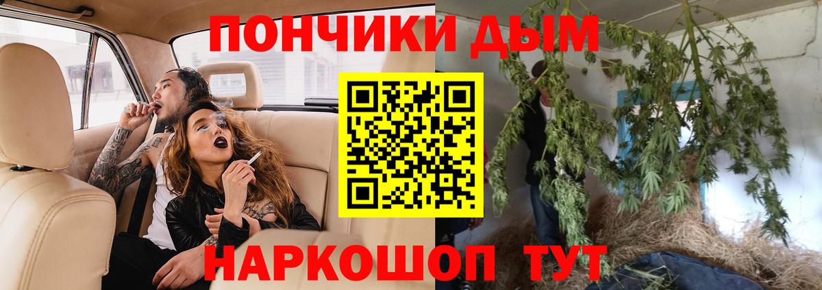 Шишки марихуана Amnesia Ишим